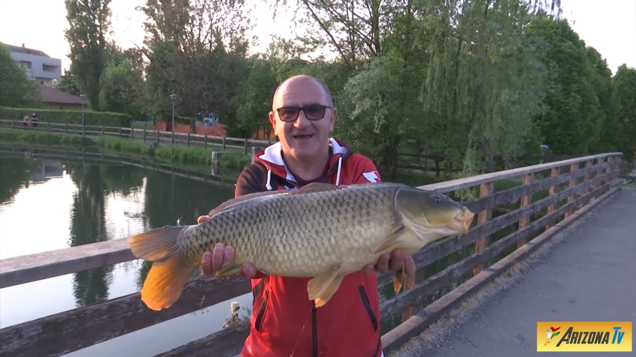 MONDO PESCA - TUTORIAL COLLE - LE CARPE DI PAULLO  - CANALE MUZZA - EMOZIONI VERE  -  