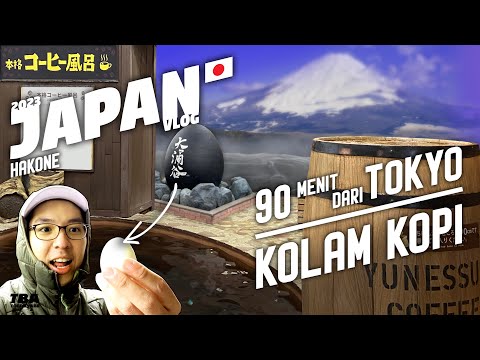 Video: Apakah hakone layak dikunjungi?