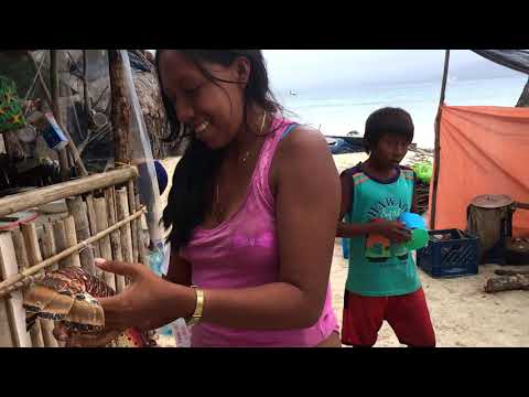 Video: Una Visita A La Comunidad Nativa De Guna Yala, Panamá (Fotos)