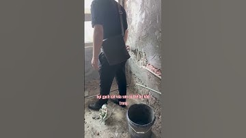 Đầu ống cấp nước sen tắm | Kidohomes