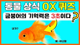 동물 상식 테스트 | ox 퀴즈 챌린지 | 참 또는 거짓 게임 screenshot 1