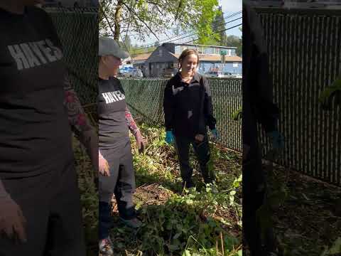 Hayes Freedom High School Community Action Club share the fun and satisfaction of pulling ivy