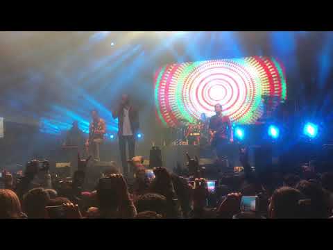 Festival de Independencia Gallo 2018 Xela - Bohemia Suburbana - Peces e Iguanas