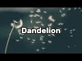 Ella Langley Dandelion Lyrics mp3