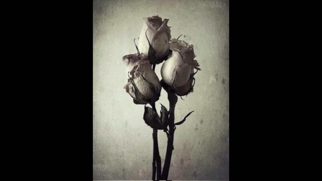 Gül Dalında Huzur Cinayetleri/Munise Senem UÇAR