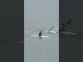 Aimee Fisher leading the pack in Hangzhou
