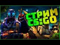 Стрим по CS GO