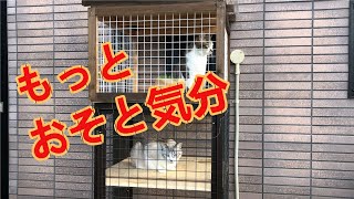 【DIY】キャットテラスを増築してみたら/I added a cat house