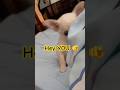 I have something to tell you!! #chihuahua #puppy #funnydog #cutedog #shorts