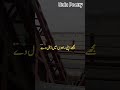 دل کو چھو لینے والی غزل #UrduPoetry #UrduShayari #Ghazal #PoetryShorts #LovePoetry #RomanticPoetry