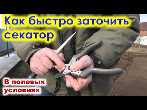 Как правильно заточить секатор в домашних условиях видео