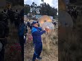 FIESTA PATRONAL EN HONOR SAN PEDRO SAN PABLO UNICACHI YUNGUYO PUNO PERÚ 2025