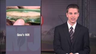 Market Journal - March 15, 2013