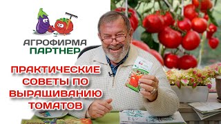 Новинки томатов | Советы по выращиванию | И немного об актинидии #лекция #огород