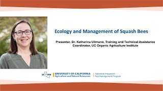 Ecology and Management of Squash Bees