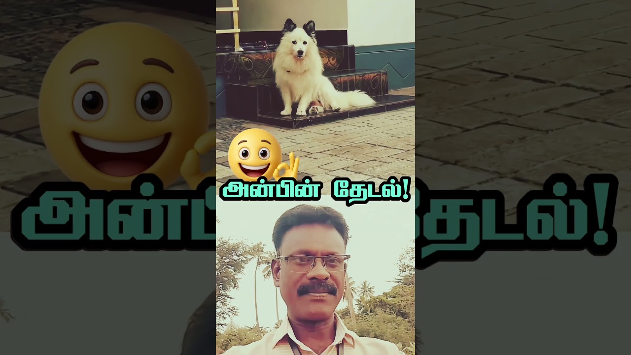 அன்பின் அழகான தேடல் இது..💕🐕👍 #cutedogs #socute #inspiration