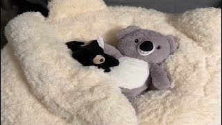 EBENCHICO Bean Bag Chair for Adults Teen, Giant Bean Bag Chairs Cat Design Review