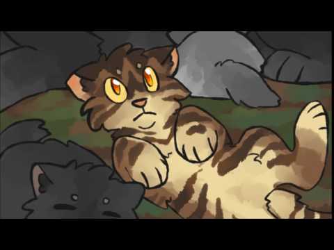 [warrior cats] tigerkit, blink once if you're hitler.