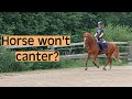 Horse won't canter? (Canter problems, canter transition) #horseriding #equestrian
