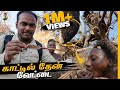 காட்டுவாசிகள் தேன் எடுக்கும் திக் திக் பயணம்🐝😱 - Ep 2 | Tamil Trekker