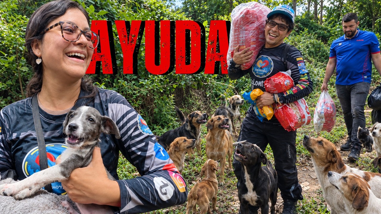 Llevamos 200 kg de ALIMENTO a una FUNDACIÓN de PERROS y GATOS en COLOMBIA 🇨🇴