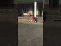 6-Year-Old Hits MASSIVE Six! 😱🏏 #shorts
