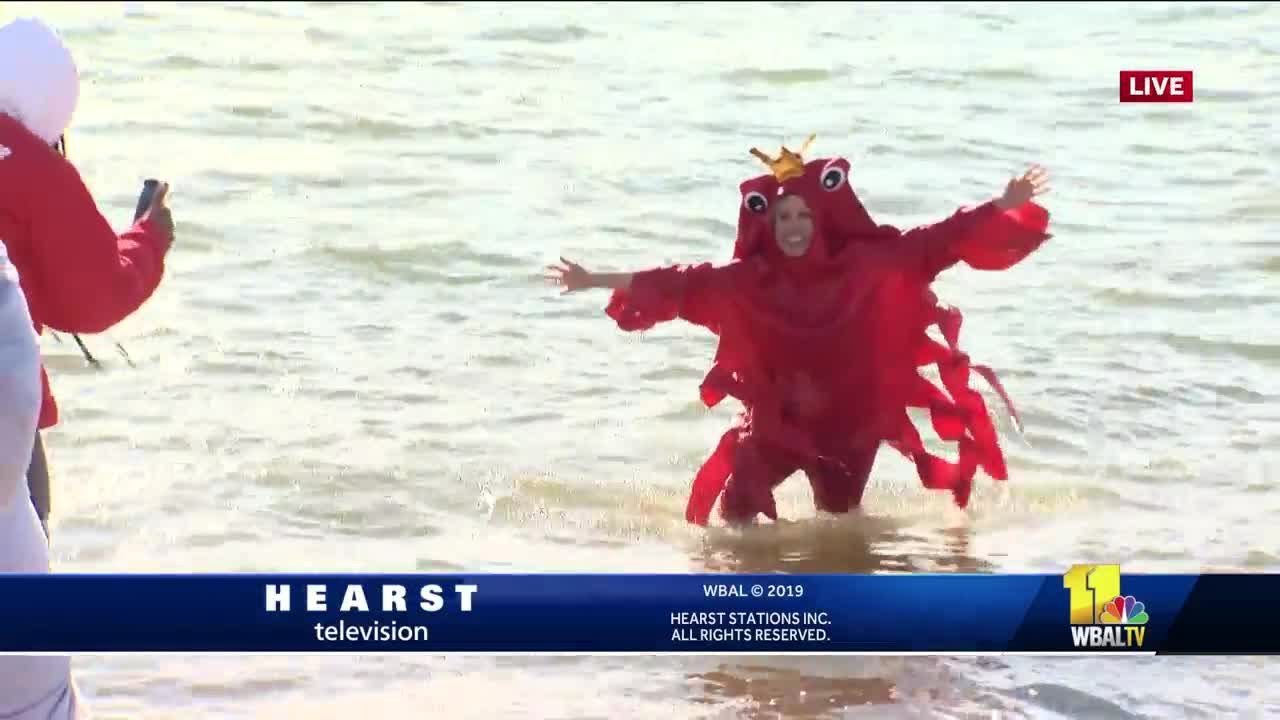 wbal-tv baltimore Jennifer takes the plunge in the crab suit!