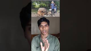 Ruben And Wild Boar..💔 #kannada #wildlife #kudremukh #vloggers #bidadi