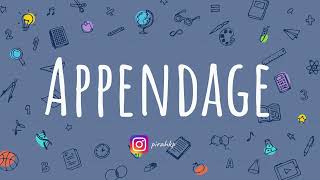 Appendage meaning | Word of the Day | Learn English Vocabulary