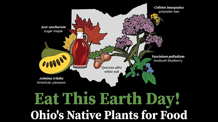 Eat This Earth Day! Ohio's Native Plants for Food - DayDayNews