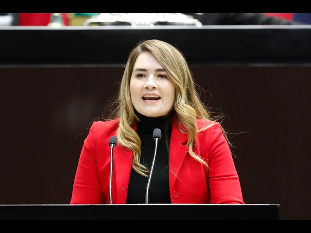 Dip. Ariana del Rocio Rejón Lara (PRI) / Presentación de reservas