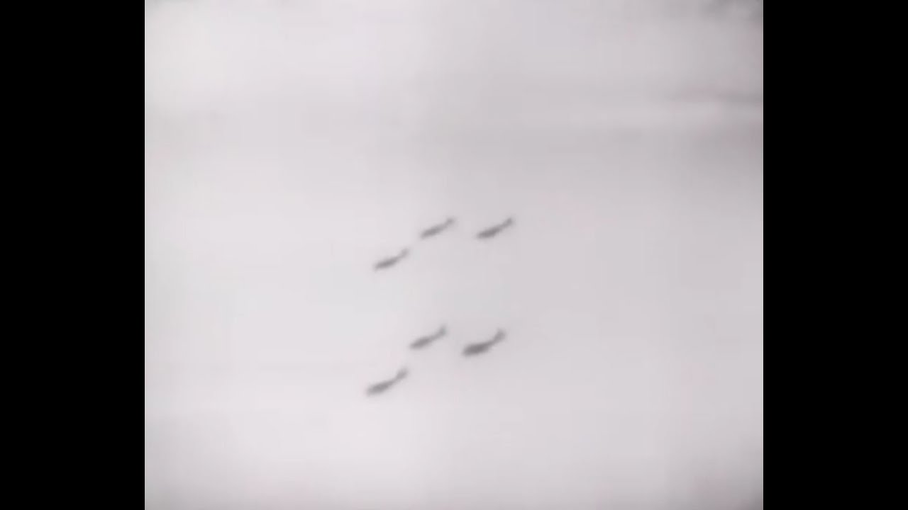 Where In The World War Mapping The War In The Pacific Answer Key Where In The World War Mapping The War In The Pacific Answer Key