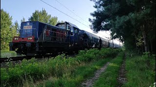 6Dg-149[LOTOS Kolej] prowadzi skład złożony z wagonów Tagnpps spółki VTG.