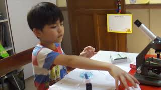 How to stain cheek cells