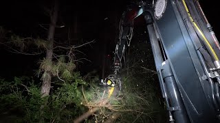 Rotobec Limb Reaper removing standing trees by cotontop3 5,125 views 3 weeks ago 20 minutes