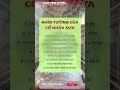 Sức Mạnh Tiềm Ẩn Của Nhân Mệnh Hòa Hợp: Hé Lộ Cách Thu Hút May Mắn Tình Duyên