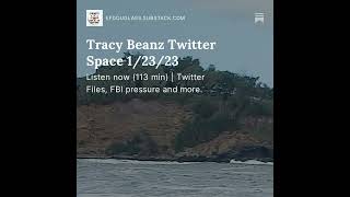 Tracy Beanz Twitter Space 1/23/23