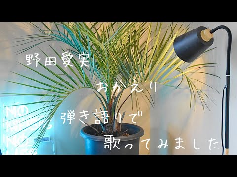 野田愛実　おかえり【cover】釣り万歳主題歌ギター弾き語りで歌ってみました　歌詞付き