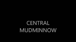 Central Mudminnow