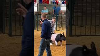 🚨 “The Future of Livestock Is Here…” 🚨#dadsonfarms #amigothepig#shorts #youtubeshorts #luvestock