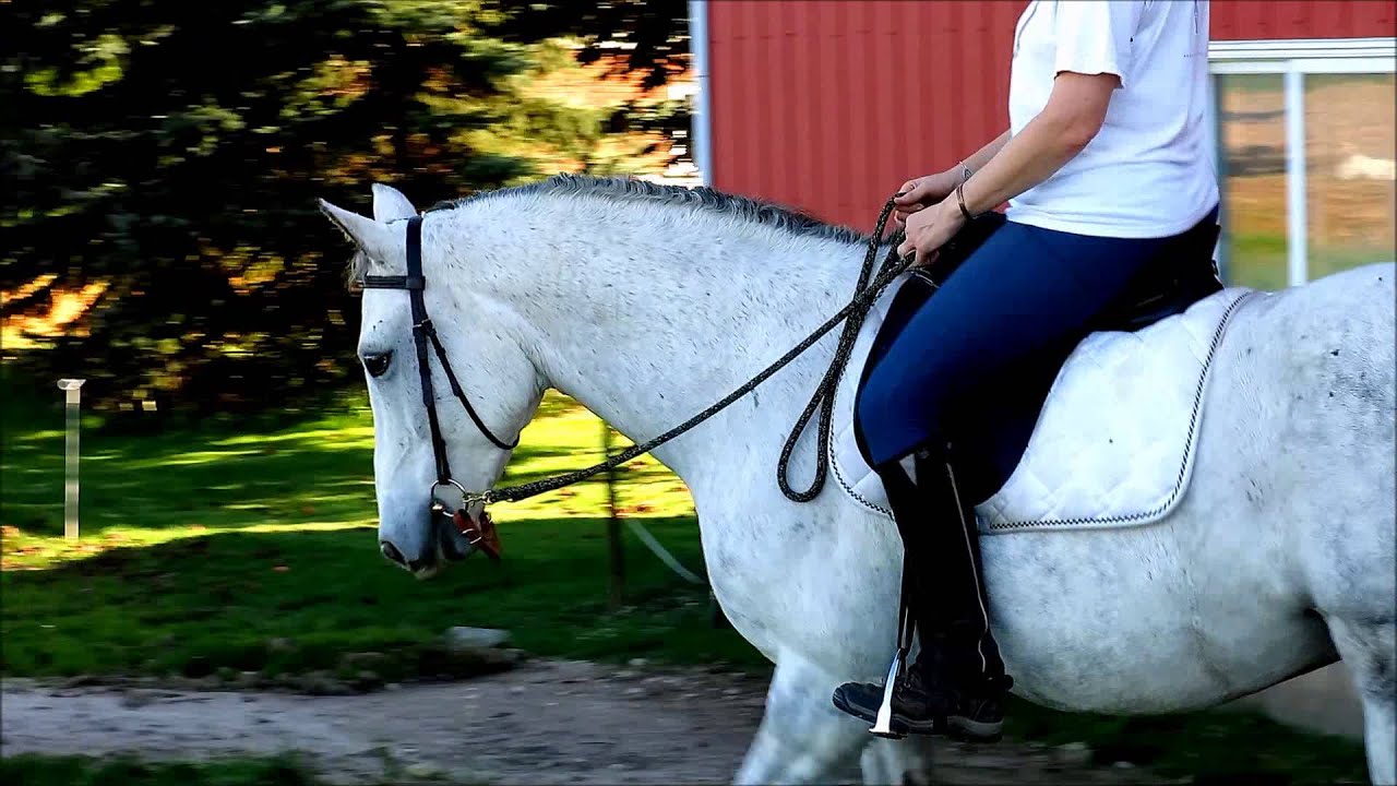 Bit to Bitless Comparison