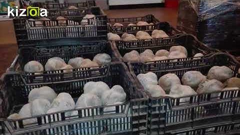 Kizoa Movie - Video - Slideshow Maker: voorbeeld