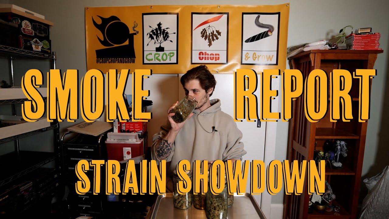 Отчет о дыме: разбор штаммов