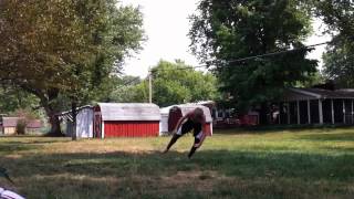 Light grass session