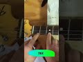 Make Sure This IS Right #guitar #guitartips #shorts