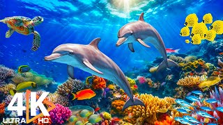 Цвета океана (4K ULTRA HD) 🐬 Лучшие морские животные в 4K для отдыха №21