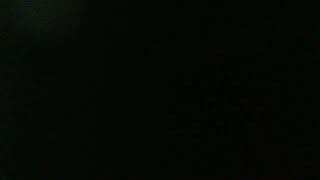 IMG 1991