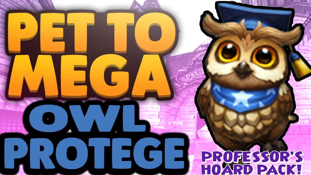 wizard101 owl protege