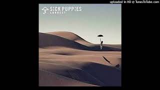 Celebrity Sick Puppies - Telling Lies Net Worth