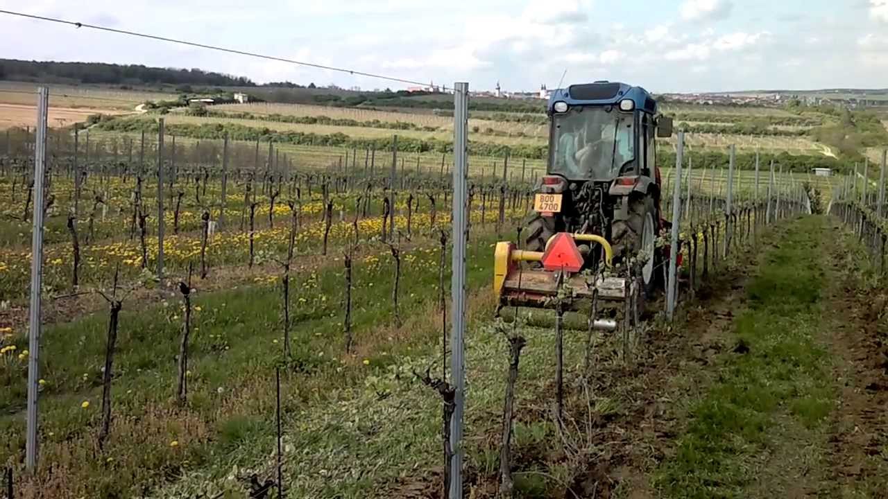 BIO vinaření u Špalků začalo